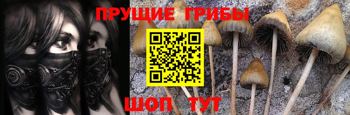 Советск  Галлюциногенные грибы мухоморы  Вход с VPN 