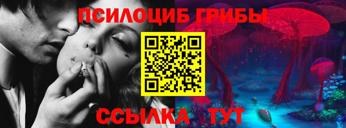 Псилоцибиновые грибы прущие грибы Советск
